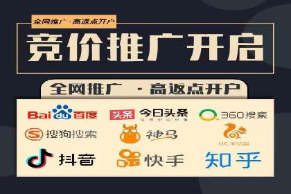 百度推广费用策略在竞争激烈市场的应用案例